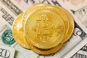 柚子币下载官方APP手机｜柚子币交易所官网下载